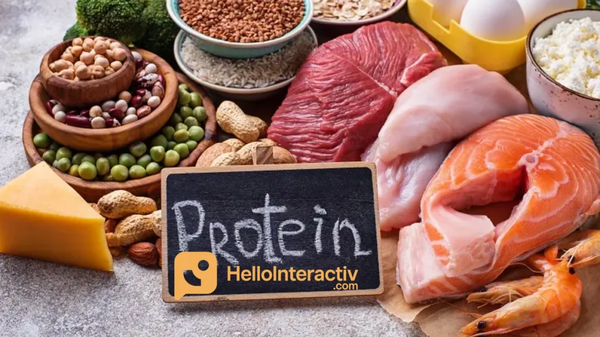 Makanan Tinggi Protein: Kunci Pola Hidup Sehat & Pembentukan Otot