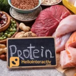 Makanan Tinggi Protein